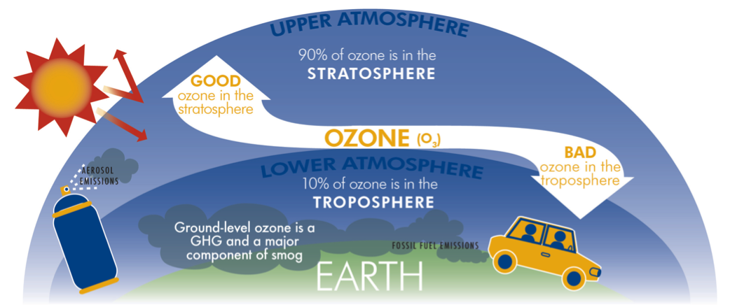 Ozone Trends – Institute for Atmospheric and Climate Science | ETH Zurich
