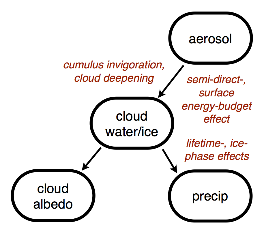 Enlarged view: Chain model of aerosol-cloud-radiation-precipitation interaction