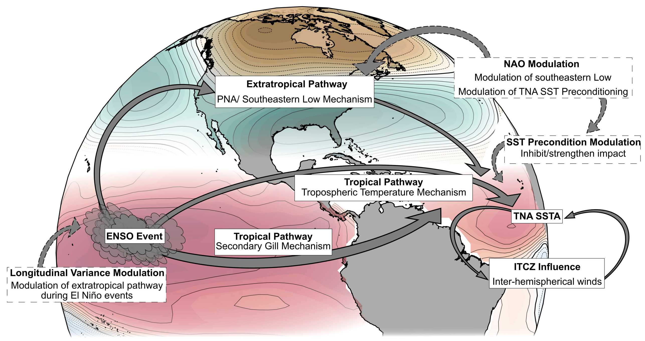 Schematic of main mechanisms for the ENSO teleconnection towards the tropical Atlantic. Dashed arrows and boxes represent modulating factors, while solid arrows and boxes represent the main mechanisms for the teleconnection.