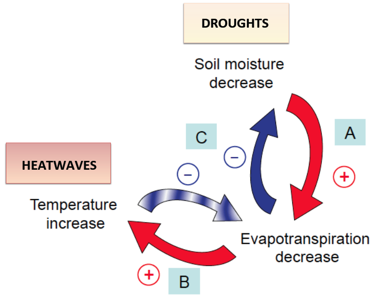 soil moisture-temperature loop